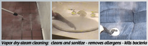 Vapor dry-steam cleaning:  cleans and sanitize - removes allergens - kills bacteria